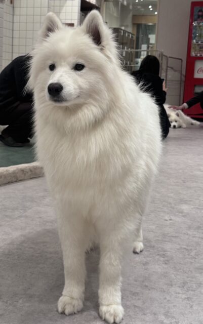 sites/9/2026/01/d359789347b7f80bfe63a8659da4aa43-e1768182115562.jpgの画像