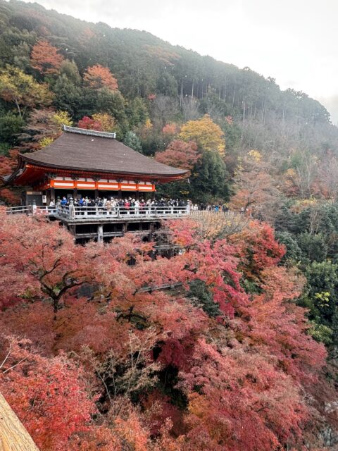 sites/9/2026/02/a3c49791398e8c875b95f6b64d2a8042-scaled-e1771061803367.jpgの画像