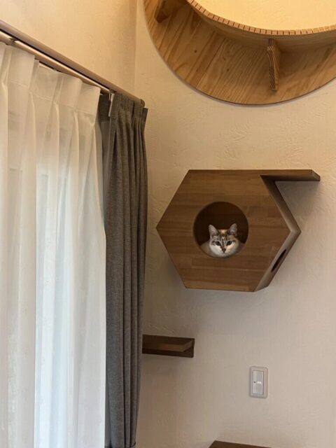 sites/9/2026/02/e623332fc5d45d9c21eed187f85958ee-e1771754061480.jpgの画像