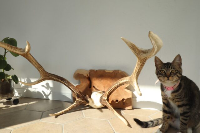 sites/9/2026/04/IMG_7461-scaled-e1775382402991.jpgの画像