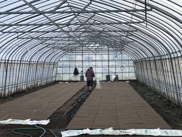 19号の種まき｜盛岡市で自然素材にこだわった注文住宅を建てるなら大共ホームの画像