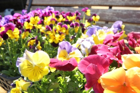 sites/2/2014/04/81d6e0e5-s.jpgの画像