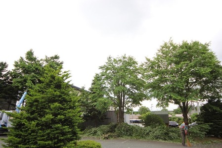 sites/2/2014/06/40fcb5de-s.jpgの画像