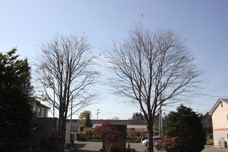 sites/2/2014/10/717b9483-s.jpgの画像