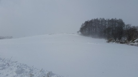 sites/2/2016/01/2974dfed-s.jpgの画像