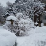 sites/2/2016/02/2ac7f209-s-150x150.jpgの画像