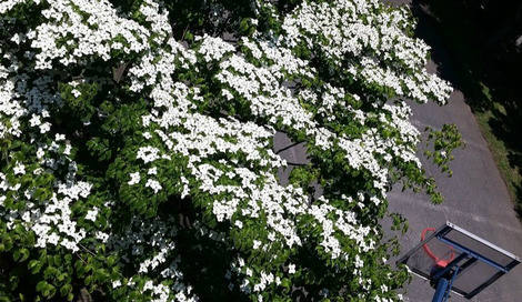 sites/2/2016/06/05e9289a-s.jpgの画像
