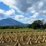 sites/2/2016/10/599bb2f1-s-150x150.jpgの画像
