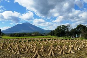 sites/2/2016/10/599bb2f1-s-300x200.jpgの画像
