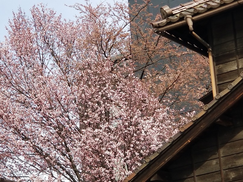 sites/2/2018/04/4-185.jpgの画像