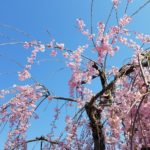 GW家づくりイベント（１）の画像