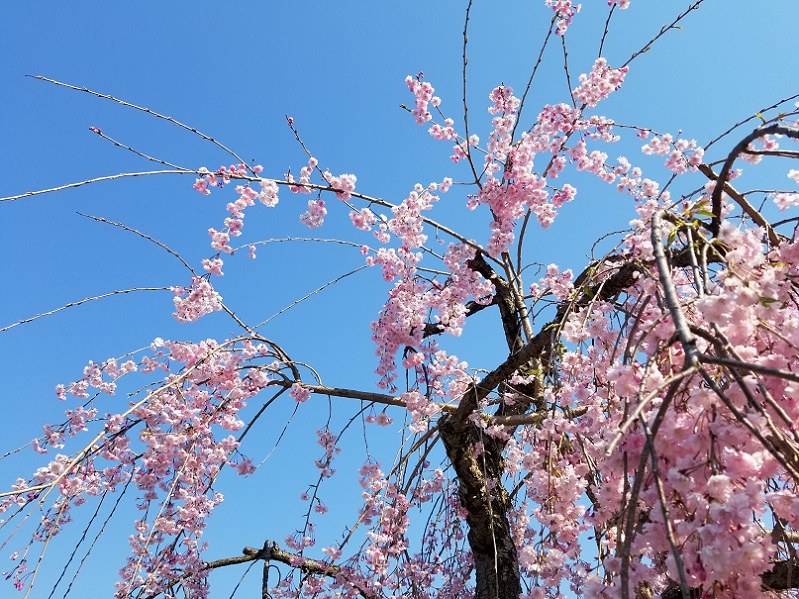 GW家づくりイベント（１）の画像