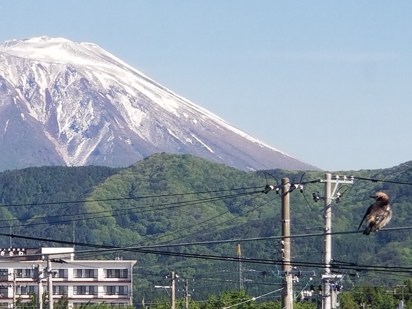 岩手山を眺める友人の画像