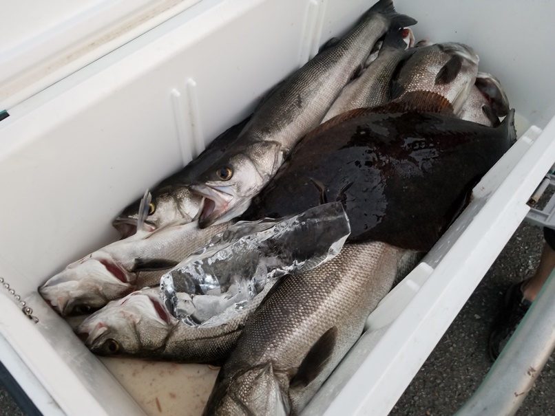 釣果(1)の画像