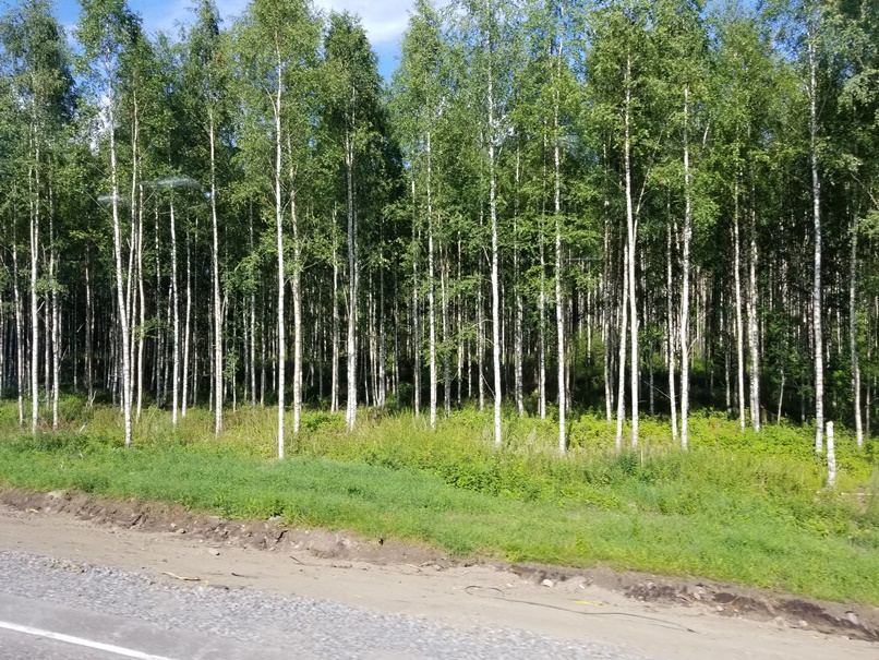 北欧の視界(6)の画像
