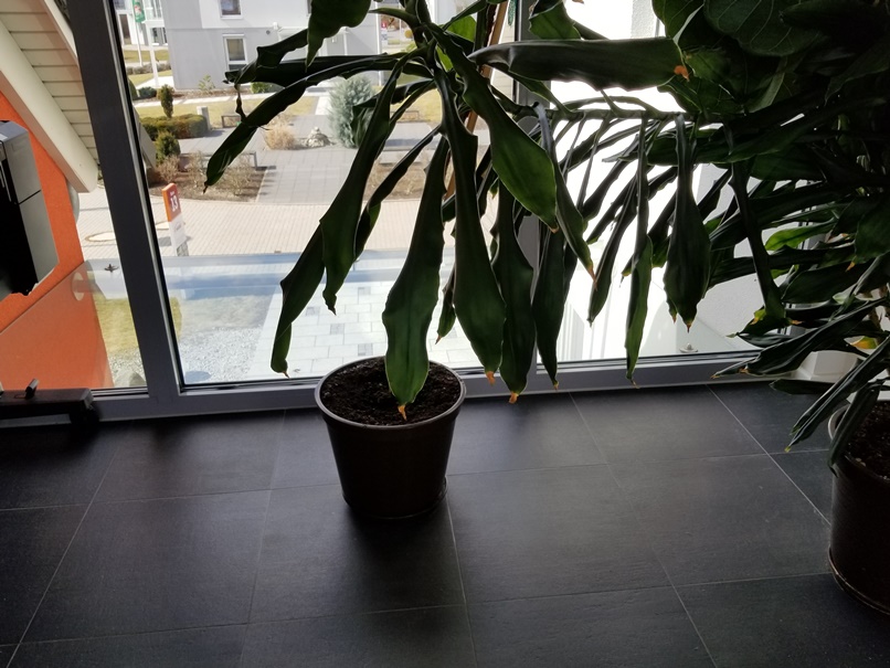 ドイツの住宅展示場5-2 (4)の画像