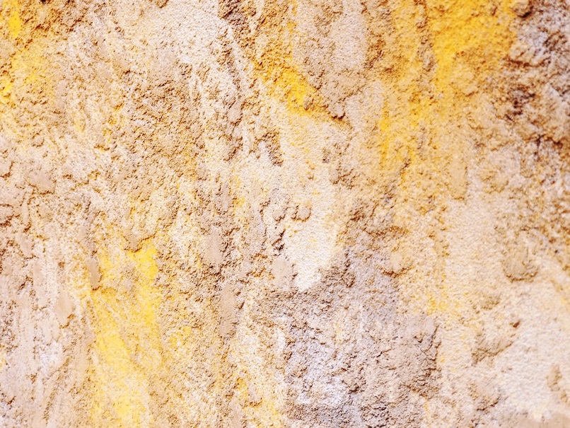 岩手に彩を (2)の画像
