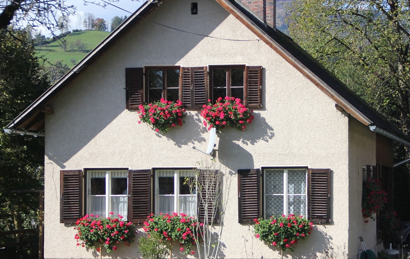 北欧住宅の窓辺の花３