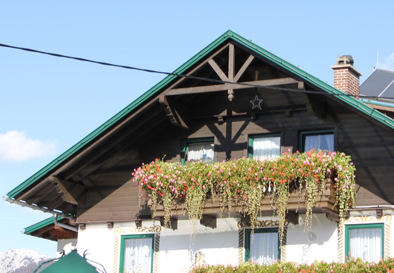 北欧住宅の窓辺の花１の画像