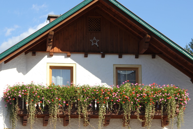 北欧住宅の窓辺の花２の画像