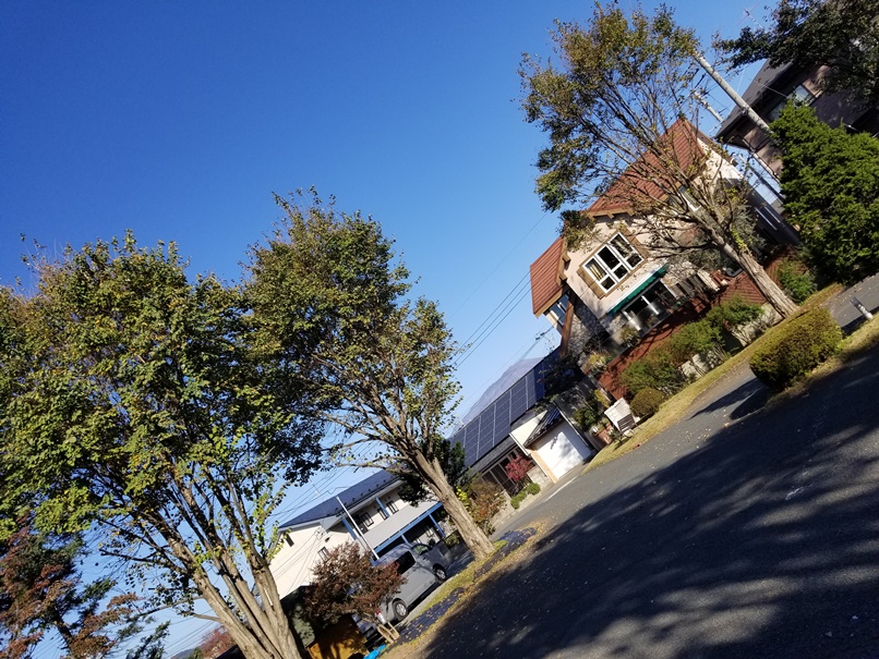 移ろいの岩手(1)の画像