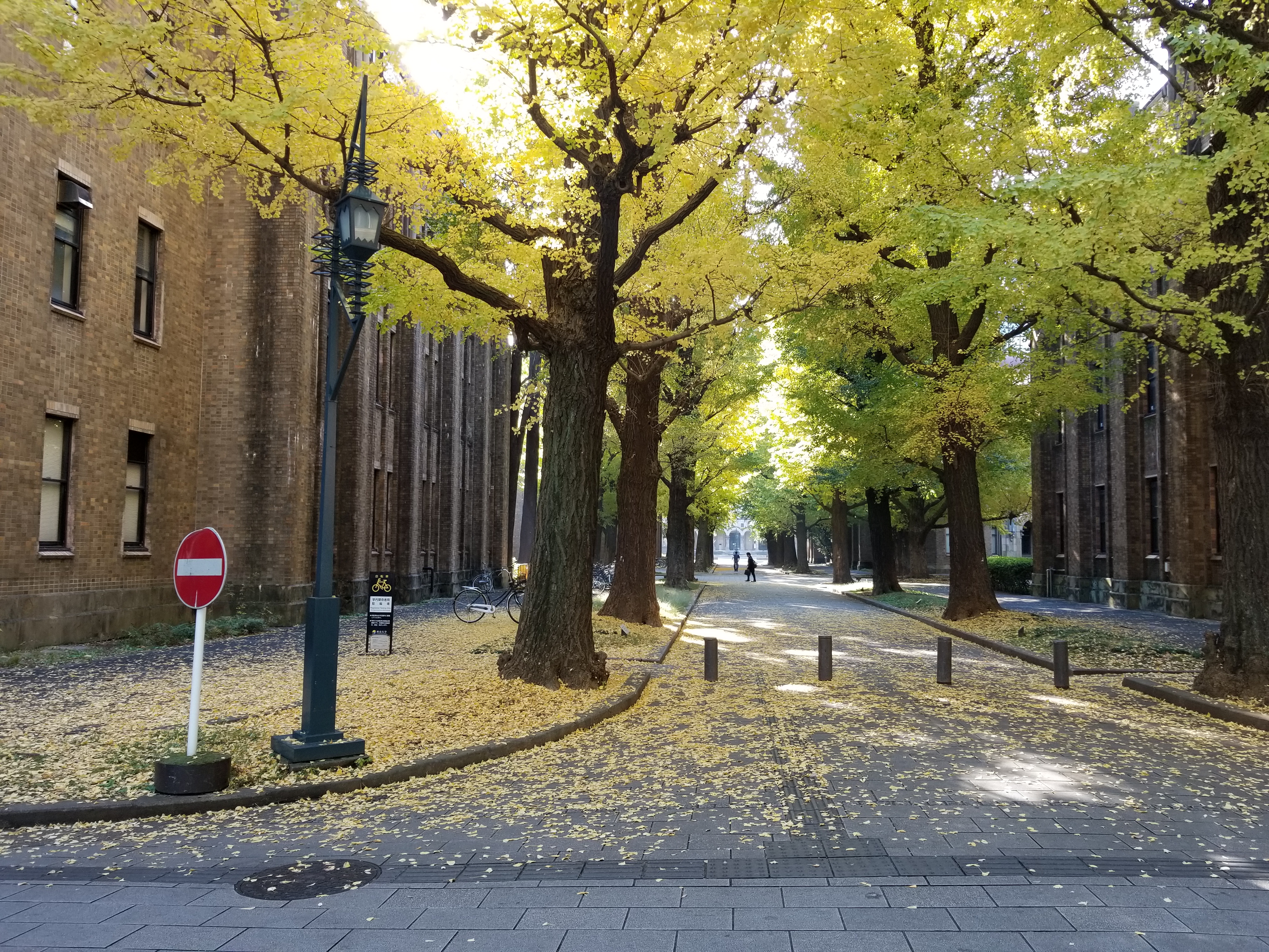 東京大学の画像