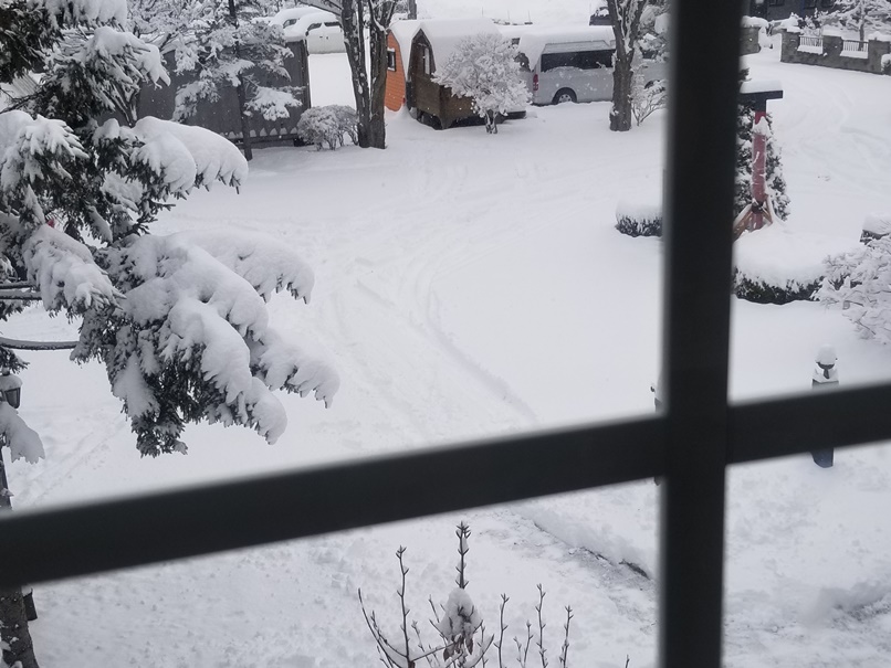 岩手の重たい雪