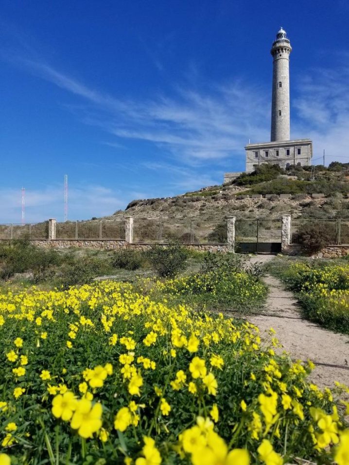 南欧の灯台(1)の画像