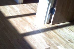 岩手の住宅の日射温度 (1)の画像
