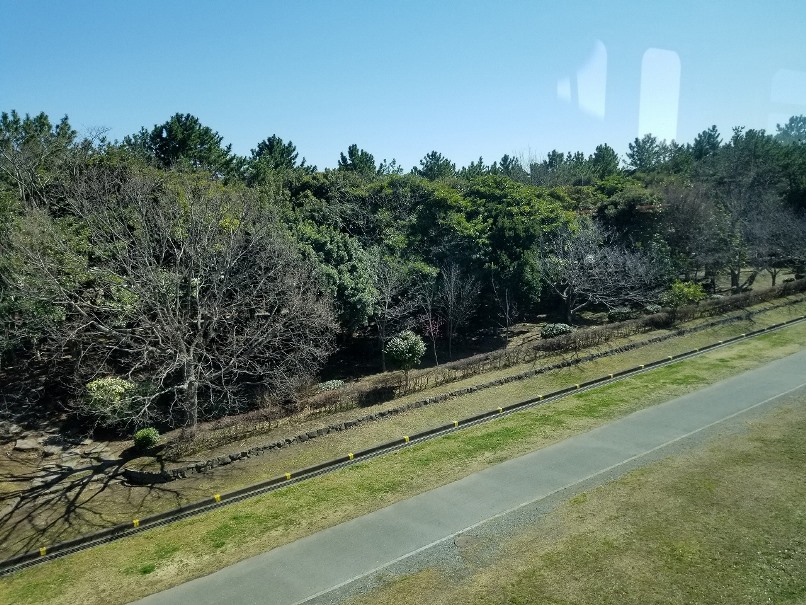 横浜の緑地(1)の画像