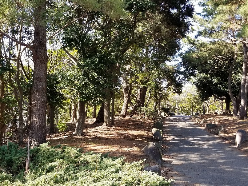 横浜の遊歩道 (2)の画像