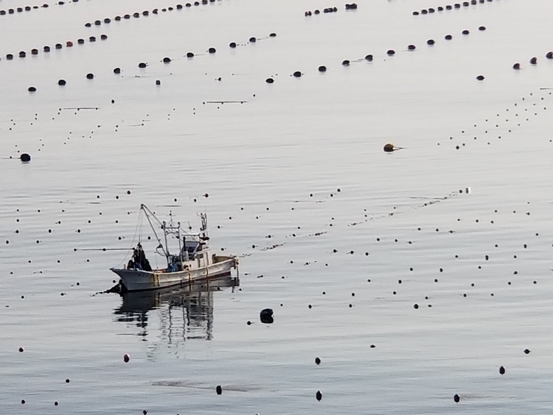 海の風景の画像