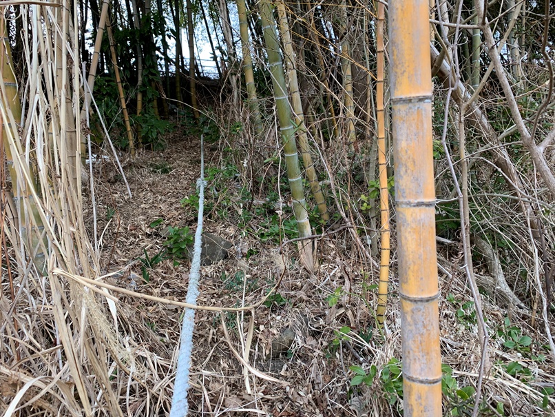アクティブ２の画像