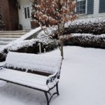 岩手の雪の画像
