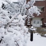 岩手の雪 (1)の画像