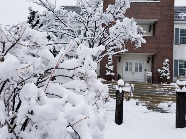 岩手の雪 (1)