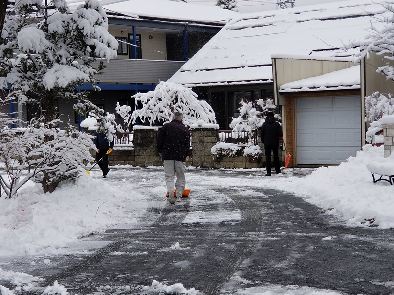 岩手の雪 (2)