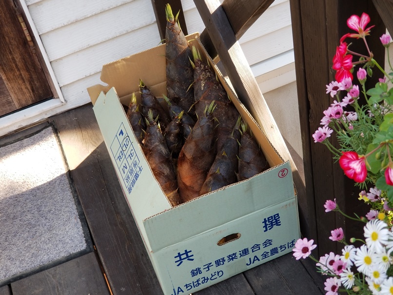岩手産の筍の画像
