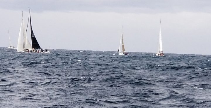 sites/2/2019/07/7d363150348c582936a95119502dfcf7-720x370.jpgの画像