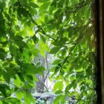 涼し気な家(1)の画像