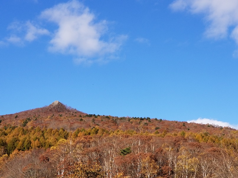 sites/2/2019/10/10-29-1.jpgの画像
