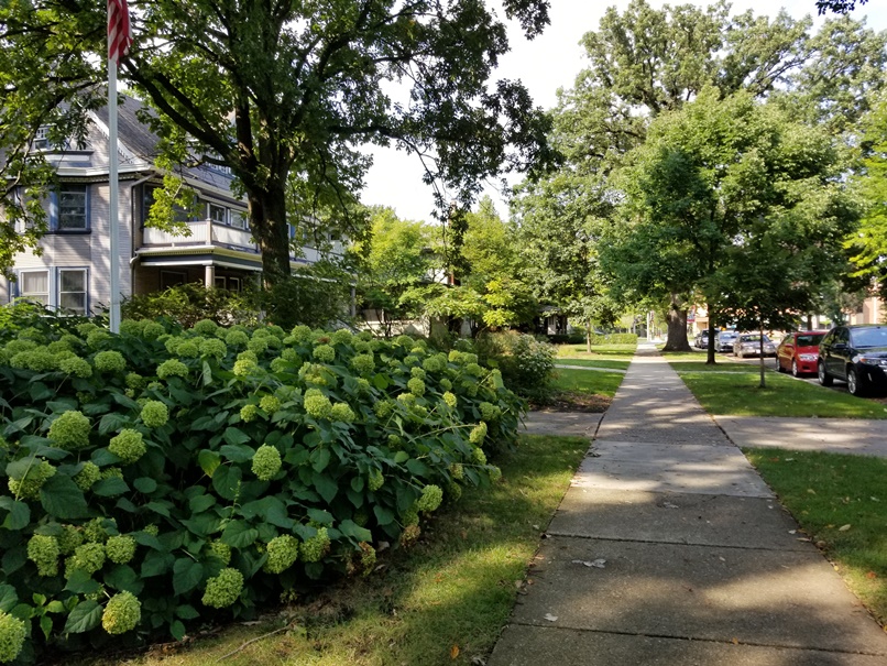 アメリカの住宅(4)の画像