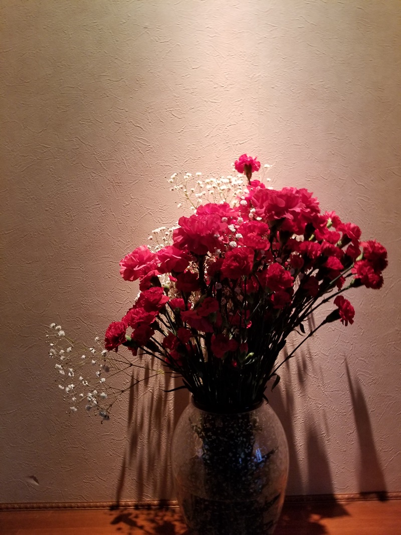 sites/2/2020/01/1-283.jpgの画像