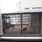 sites/2/2020/01/4b0fee26c39c907825366b4041043c55-150x150.jpgの画像