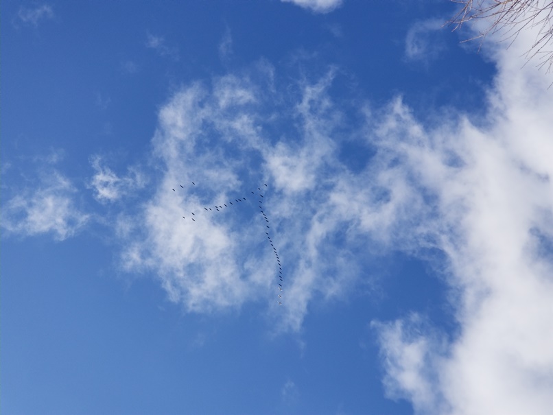 sites/2/2020/02/2-21-7.jpgの画像
