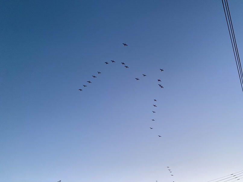 sites/2/2020/02/2-213.jpgの画像