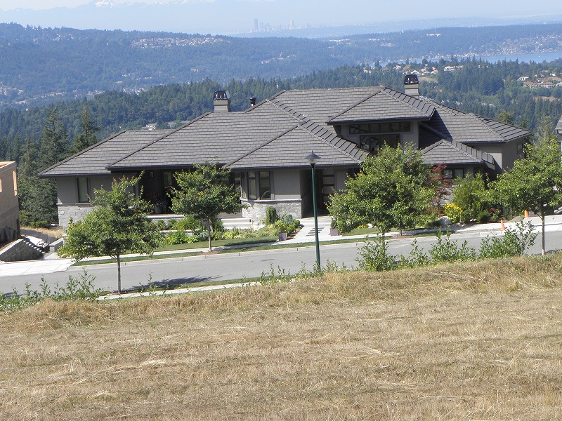 アメリカの住宅地(6)の画像