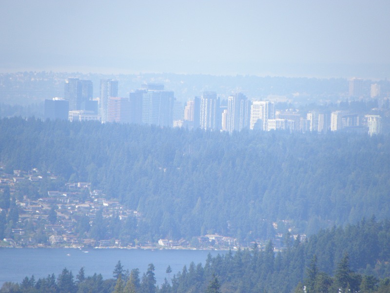 アメリカの住宅地 (5)の画像