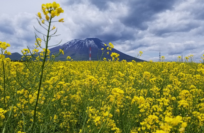 sites/2/2020/05/5-26.jpgの画像