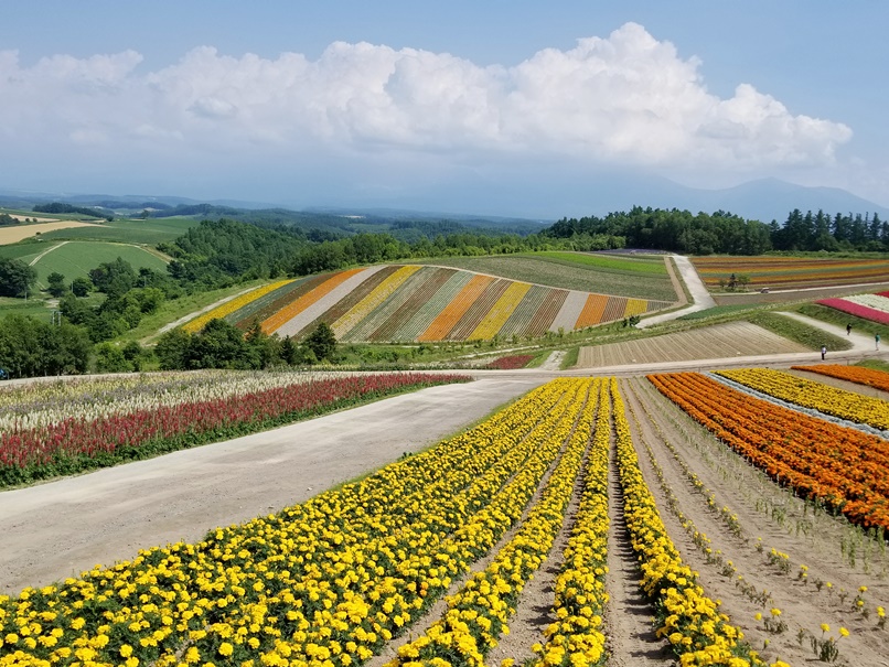 sites/2/2020/07/364be7da7f1fd6b1898ea82136ae6e4a.jpgの画像